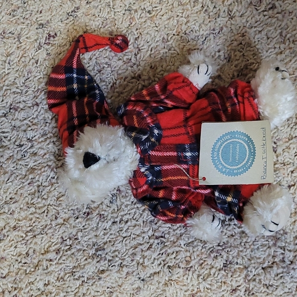 Boyds Beara- Bianca T Witebred - Picture 1 of 3